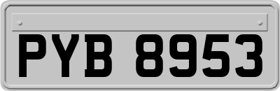 PYB8953