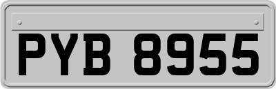 PYB8955