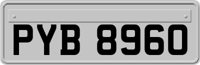 PYB8960