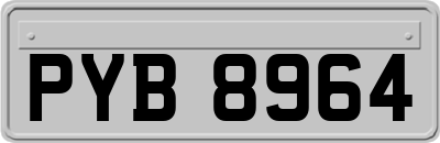 PYB8964