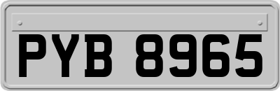 PYB8965