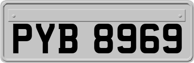 PYB8969