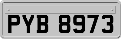 PYB8973