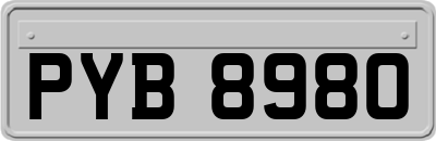 PYB8980