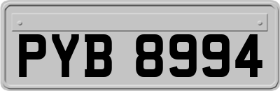 PYB8994