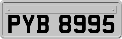 PYB8995