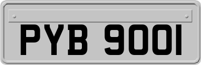 PYB9001