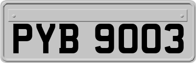 PYB9003