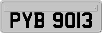 PYB9013