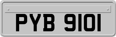 PYB9101