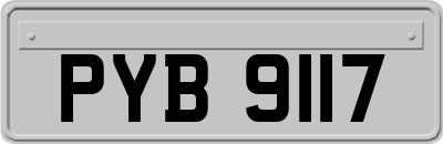 PYB9117