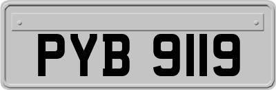 PYB9119