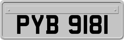 PYB9181