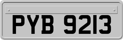 PYB9213