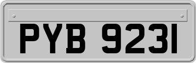 PYB9231