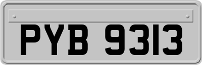 PYB9313