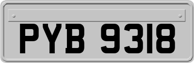 PYB9318