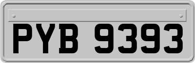 PYB9393