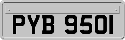 PYB9501