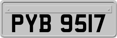 PYB9517