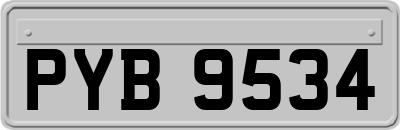 PYB9534