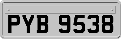 PYB9538