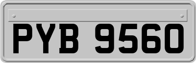 PYB9560