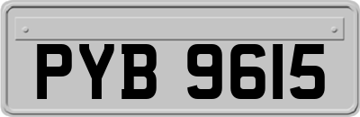 PYB9615