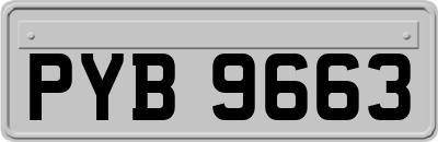 PYB9663