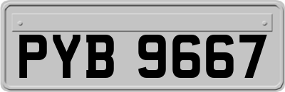 PYB9667