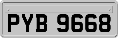 PYB9668