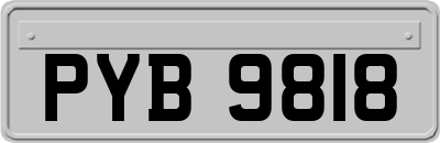 PYB9818