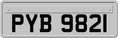 PYB9821