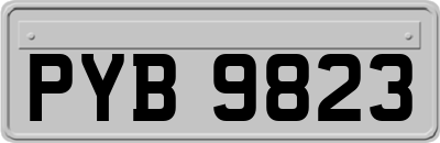 PYB9823