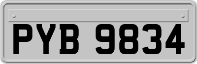 PYB9834