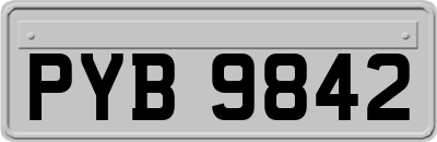 PYB9842