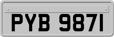 PYB9871