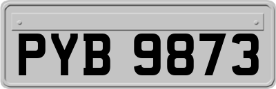 PYB9873