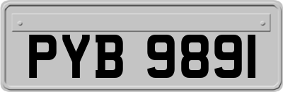 PYB9891