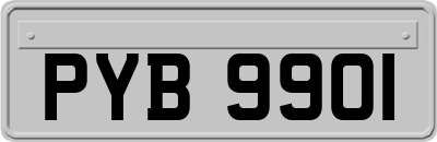 PYB9901