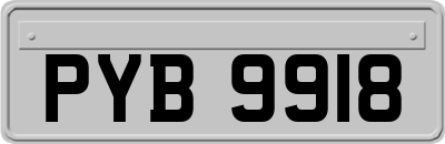 PYB9918