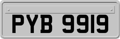 PYB9919