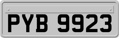 PYB9923