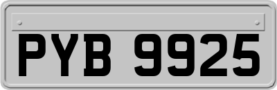 PYB9925