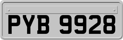 PYB9928