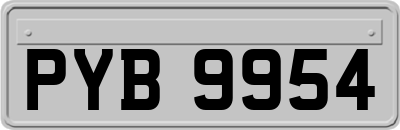 PYB9954