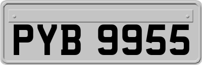 PYB9955