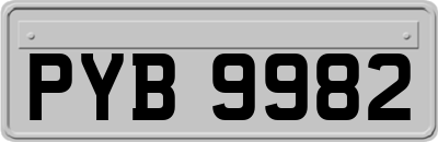 PYB9982