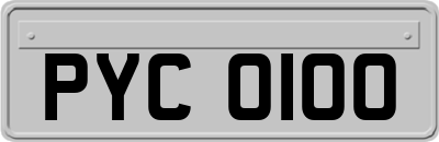 PYC0100