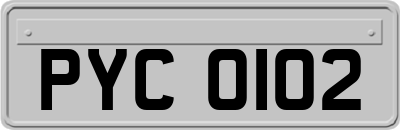 PYC0102